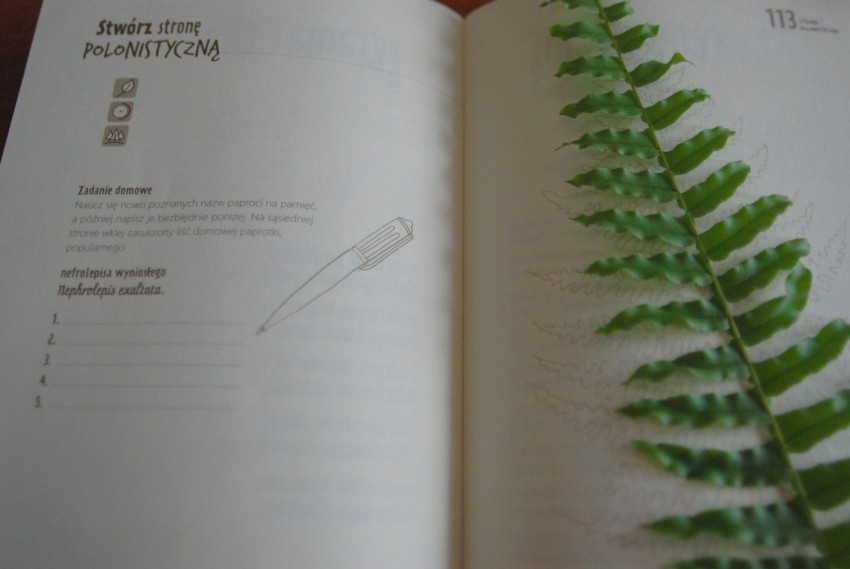 strona polonistyczna