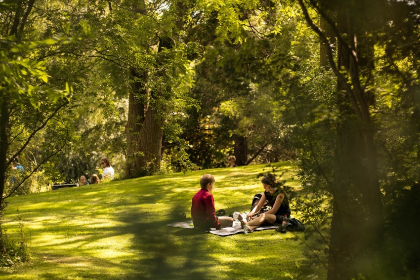 park w mieście
