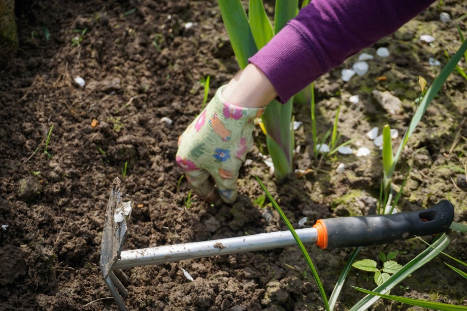 o rabatach podniesionych metodą no-dig