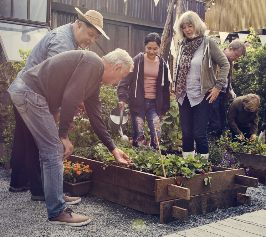 podwyższone grządki