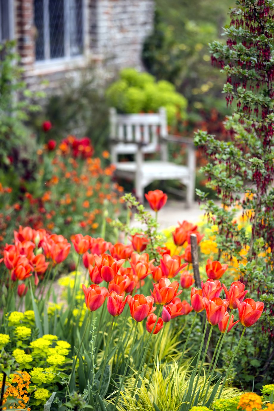 fioletowa kompozycja z kwiatów cebulowych