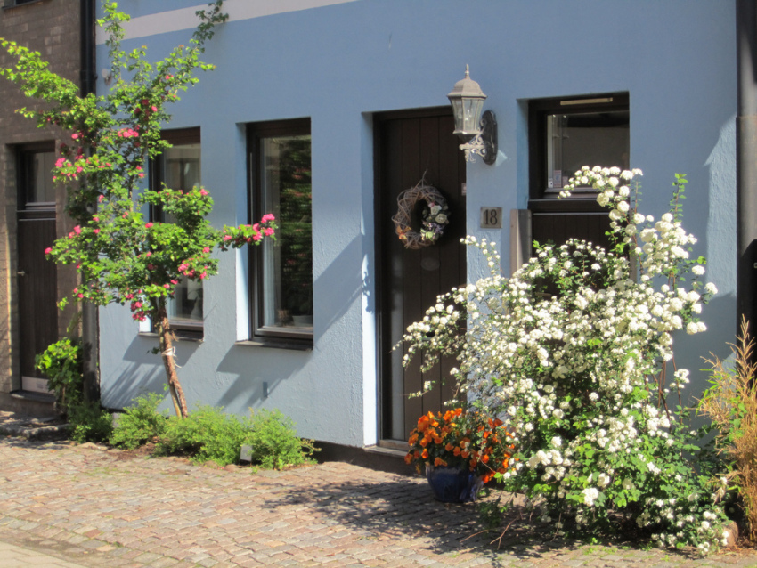 przedogródek