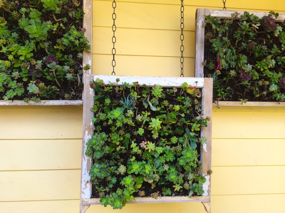 jak zrobić ciekawy kwietnik