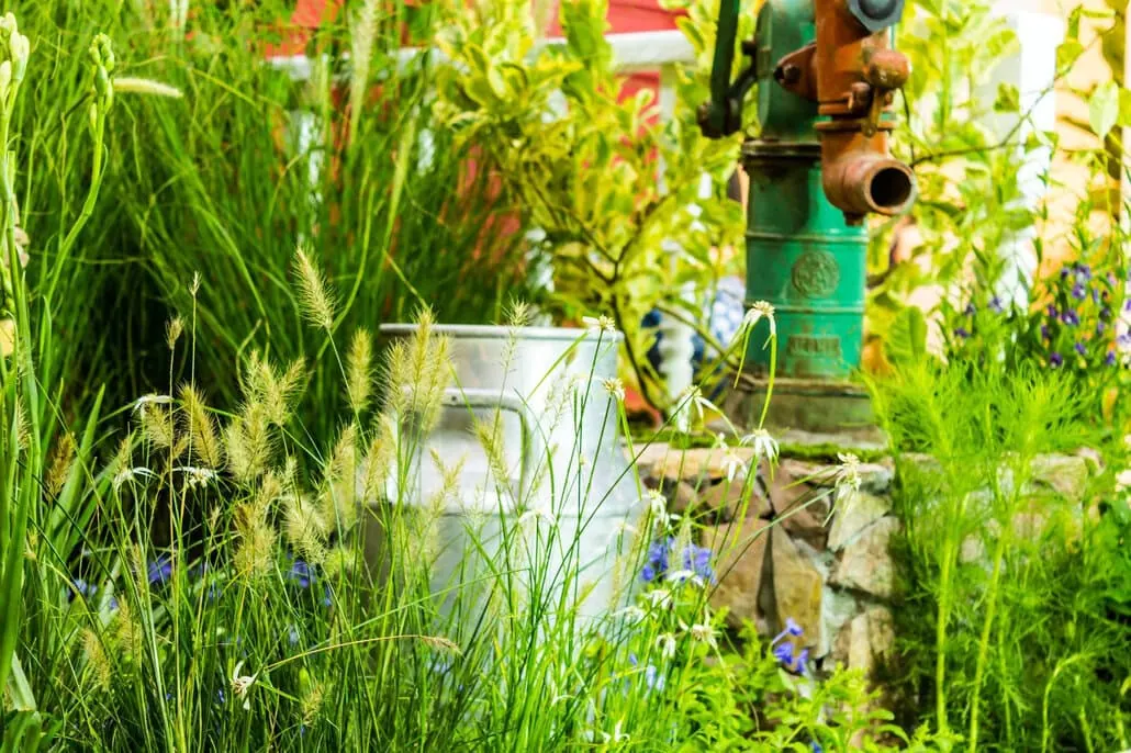 Stara zielona pompa wodna i metalowa kana na mleko wśród roślinności, wysokich traw i dzikich kwiatów w bujnym ogrodzie.