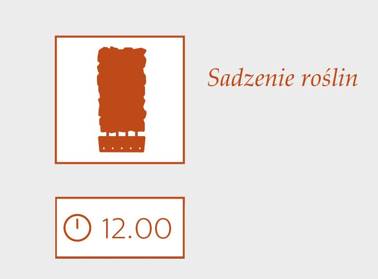 sadzenie roślin