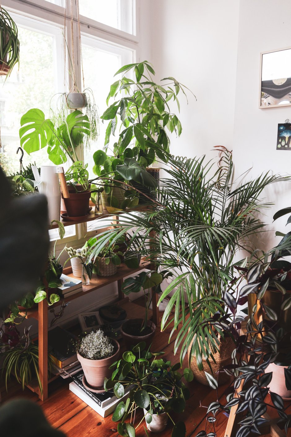 salon w stylu urban jungle