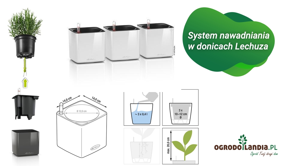 system nawadniania firmy Lechuza