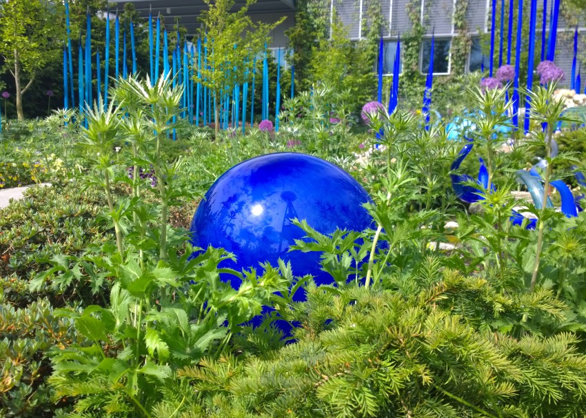 szklana niebieska kula ukryta w roślinach