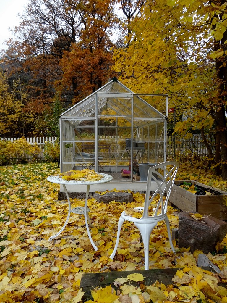 szklarnia w ogrodzie jesienią