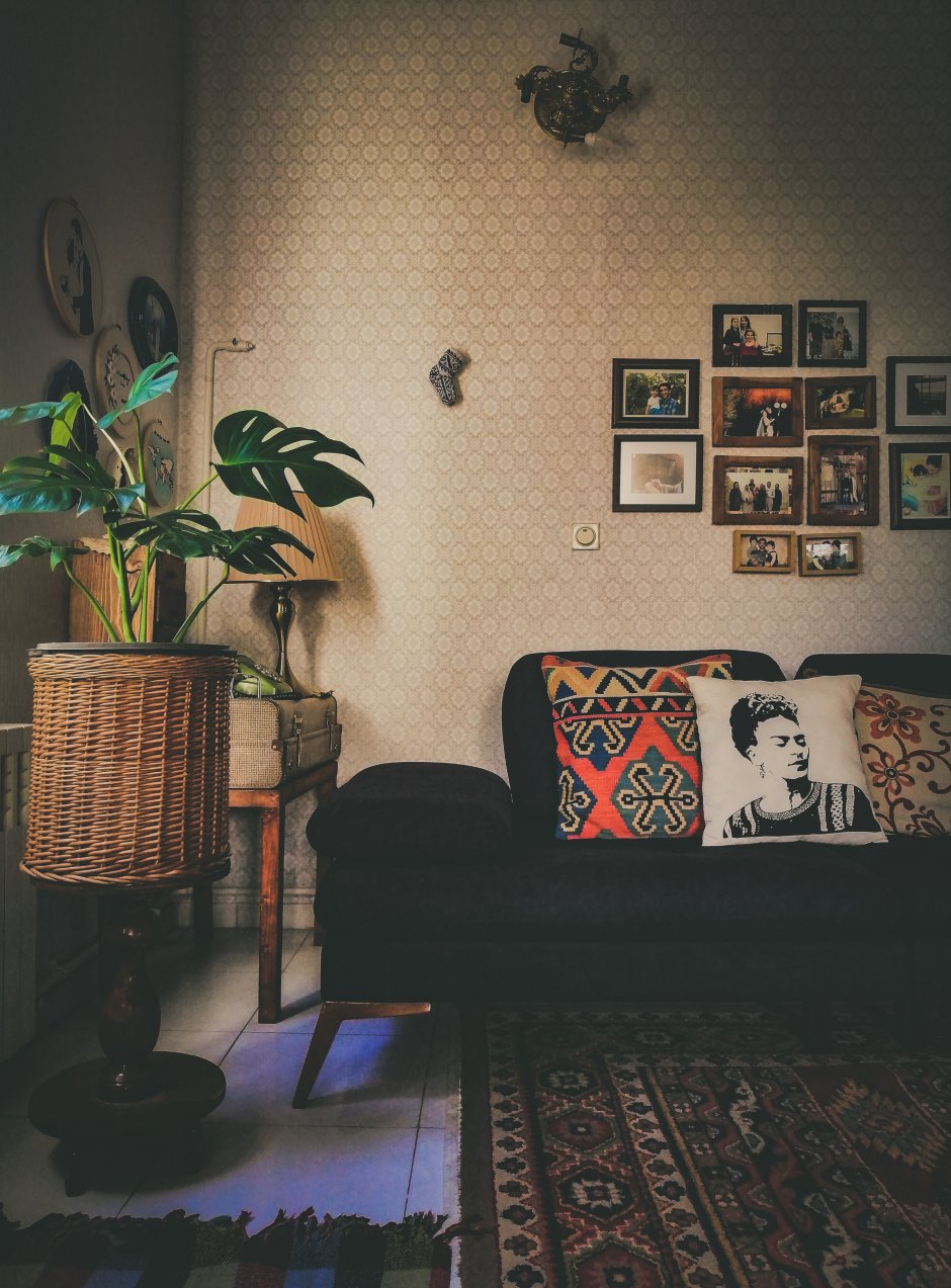pokój w stylu urban jungle z charakterystyczną kanapą