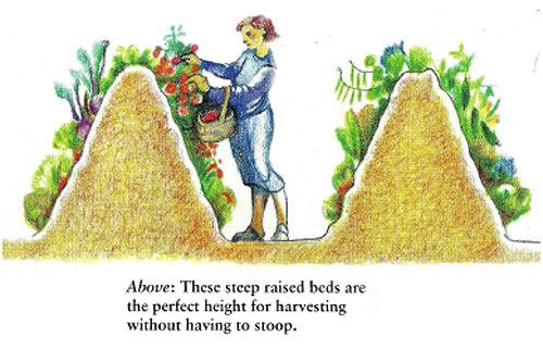 wał w hugelkulturze