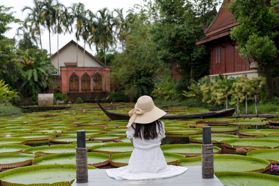 kwiat wiktorii królewskiej