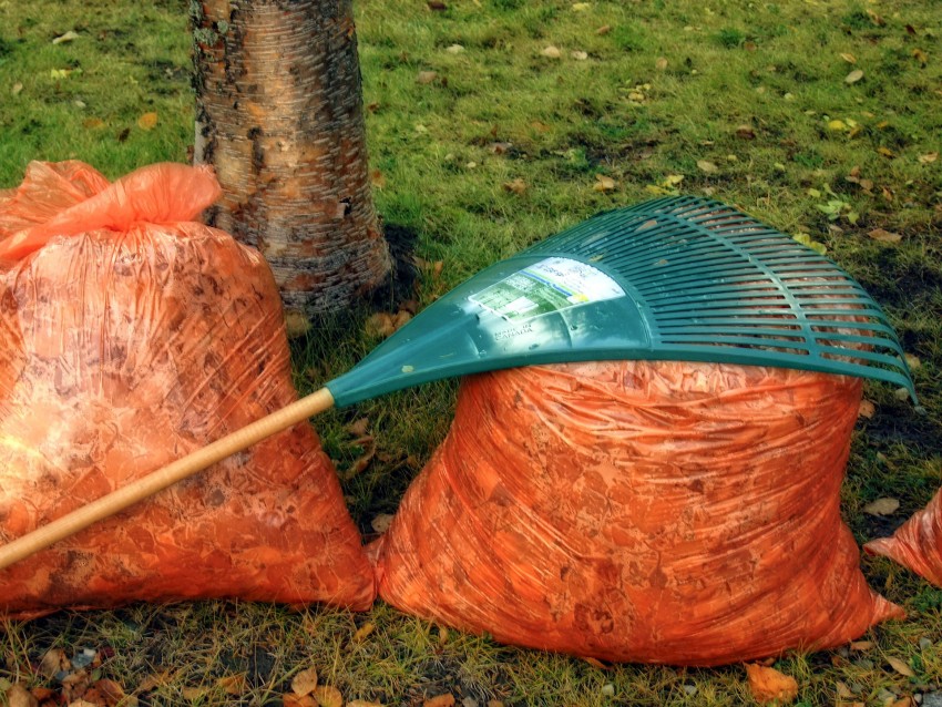 liście w workach pod drzewem