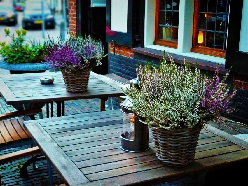 wrzosy w donicach na stołach w restauracji