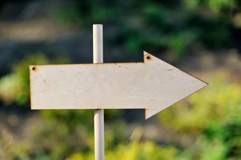 ścieżka z drewnianym brukiem