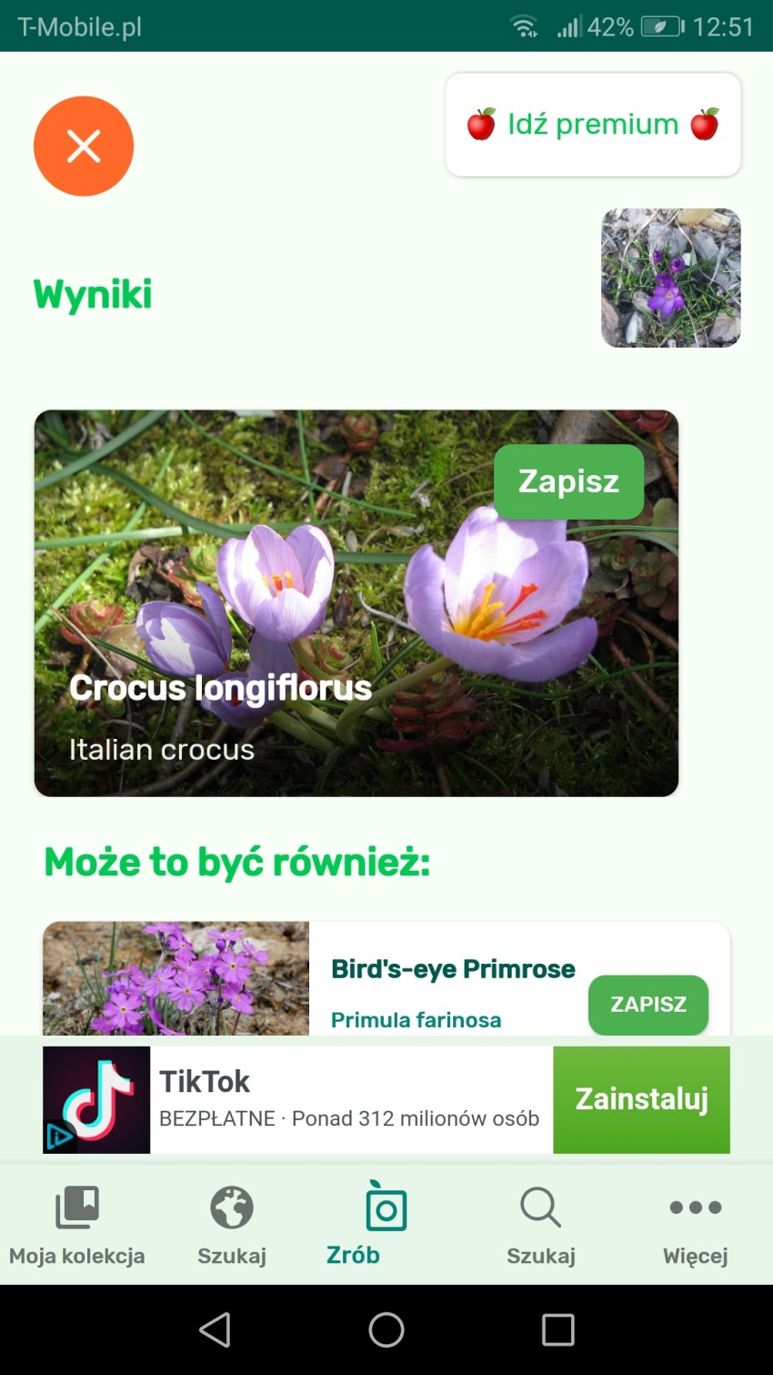 wynik zdjęcia
