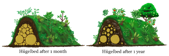 zestawienie hugelkultur