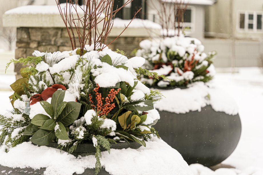 kopczaki ochraniające przycięte rośliny