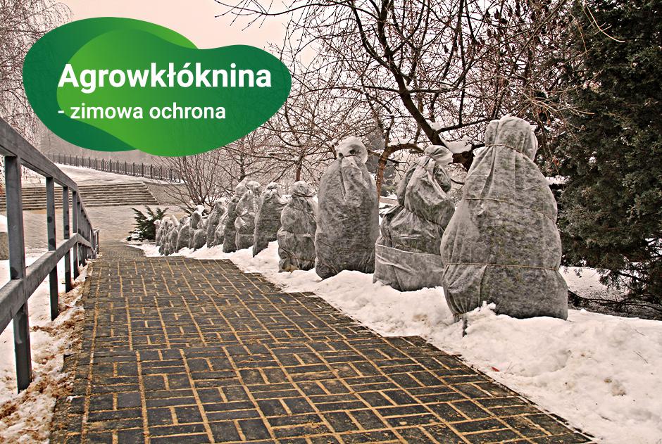 zimowa ochrona agrowłókniną