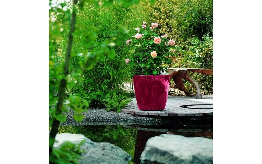 04071a023795b603bc1519564f228e39 04071a023795b603bc1519564f228e39