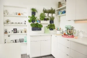 Zestaw 3 donic na ścianę Lechuza Cube Home Kit