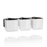 Zestaw 3 donic na ścianę Lechuza Cube Glossy Home Kit - Ogrodolandia.pl
