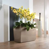 Donica prostokątna wąska Cararo - Ogrodolandia.pl