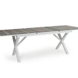 11856