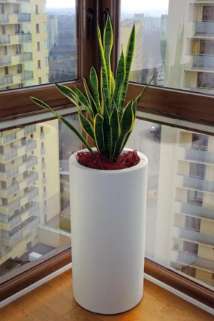 Donica walec Tube 60