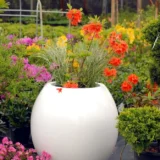 Donice Kama Flower Manacor L  - Ogrodolandia.pl