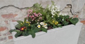 Betonowa donica 100x50x60 cm (h)