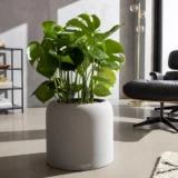 19156
