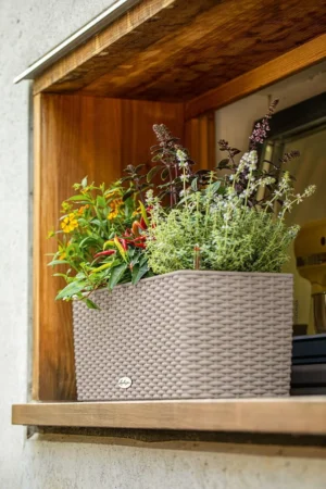 Donica Balconera Cottage 50