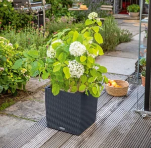 Donica CUBE Cottage 50