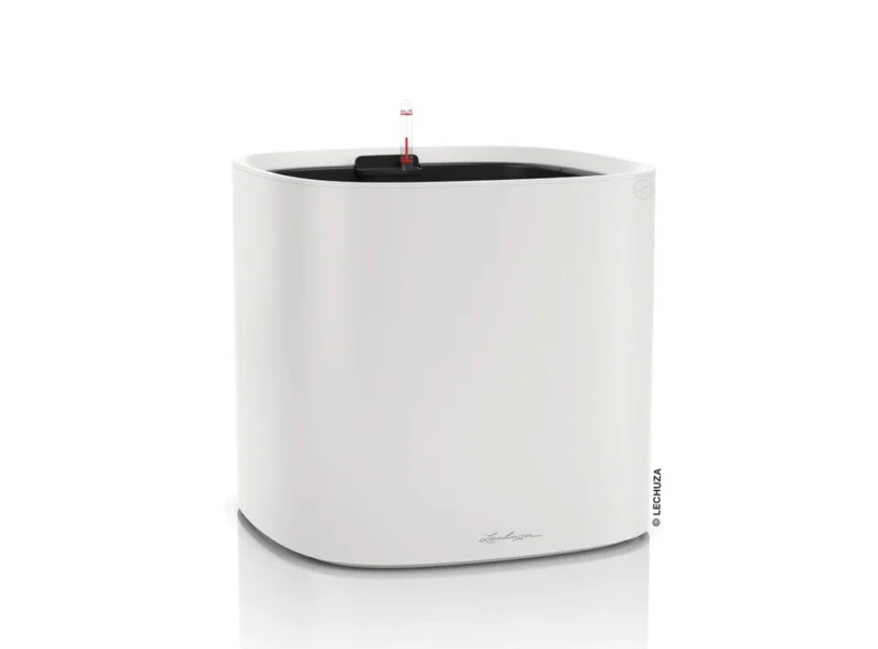 19361 19361