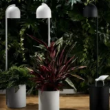 Stojąca lampa z pojemnikiem na roślinę Botanica - Ogrodolandia.pl