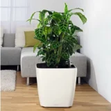 Donica Lechuza Quadro LS 43 - wiele kolorów - Ogrodolandia.pl