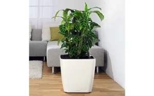 Donica Lechuza Quadro LS 43