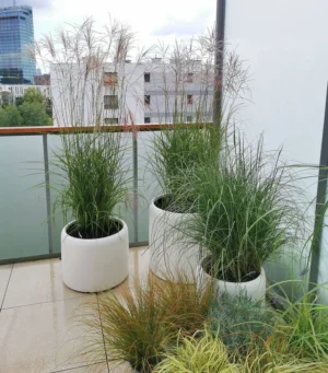 Donica owalna Ambienti S 39 (wycofane)