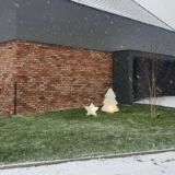 21232