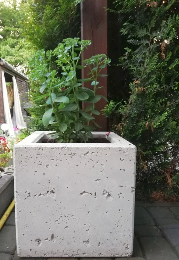23458 23458