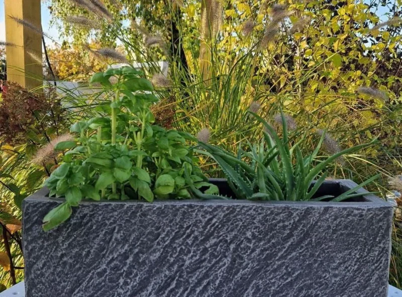 23569 23569