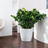 Donica Lechuza Classico Color 28 - Ogrodolandia.pl