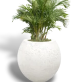 25440
