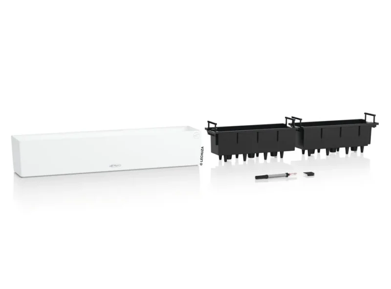 25668 25668