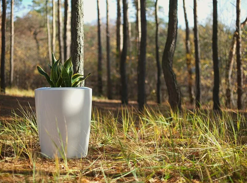 25e7a732712267fe1068de9e45db602b 25e7a732712267fe1068de9e45db602b