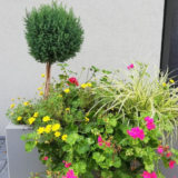 284126bf51b84807aafb1600336ef1ce