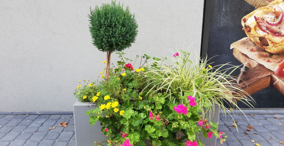 284126bf51b84807aafb1600336ef1ce 284126bf51b84807aafb1600336ef1ce