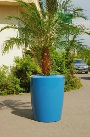 Donica ANAKENA L