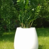 322b43852fc33ce30d15beed556b54f4